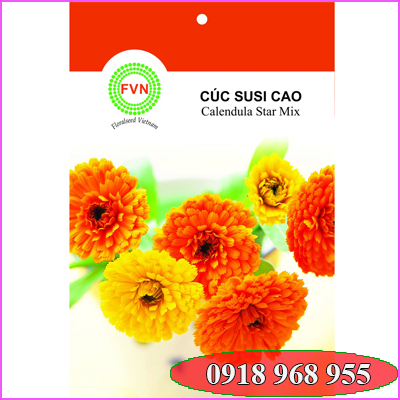 In túi hạt giống| baobigiaphat.vn
